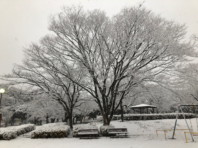 雪景色